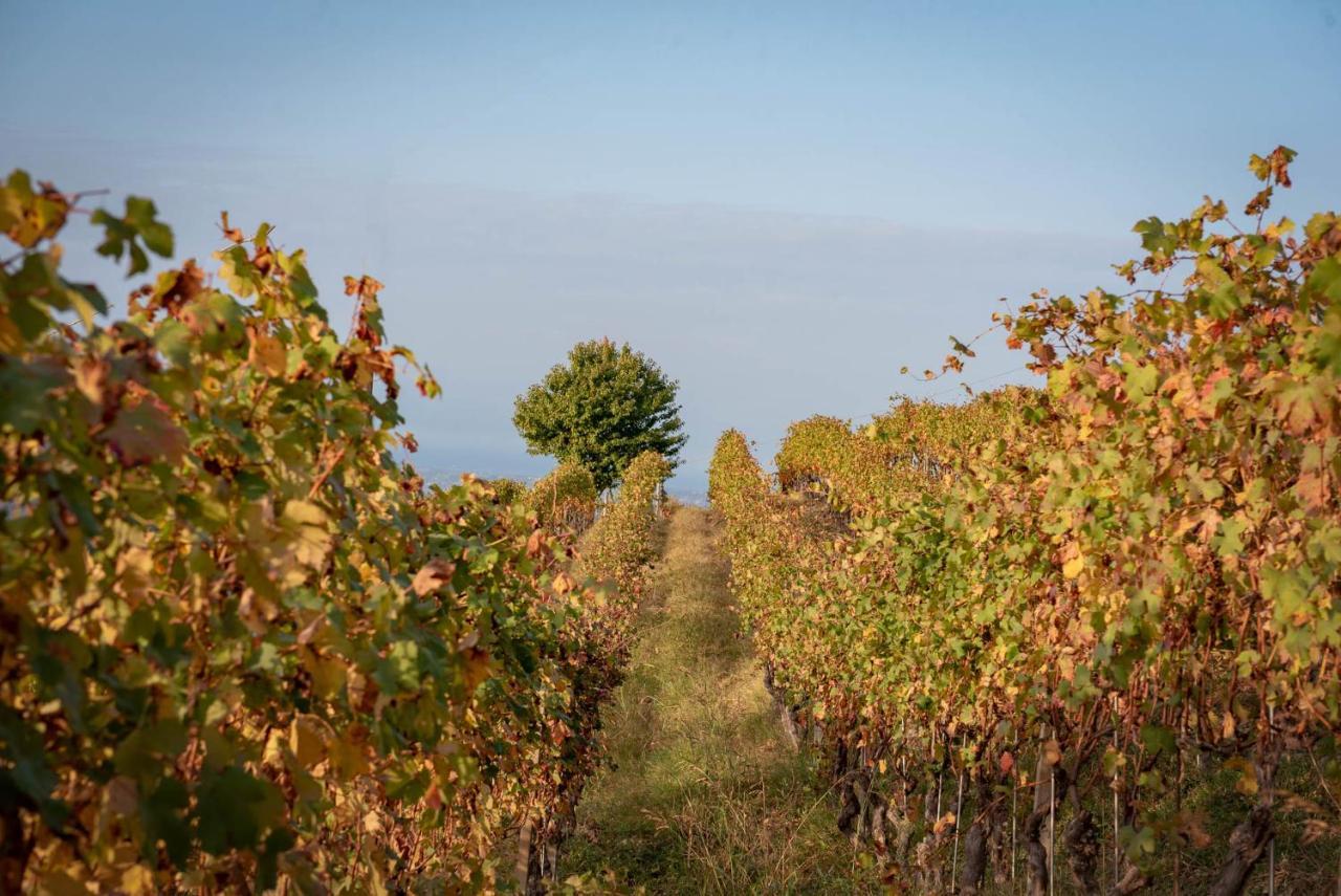 Agriturismo San Martino Clavesana Екстериор снимка